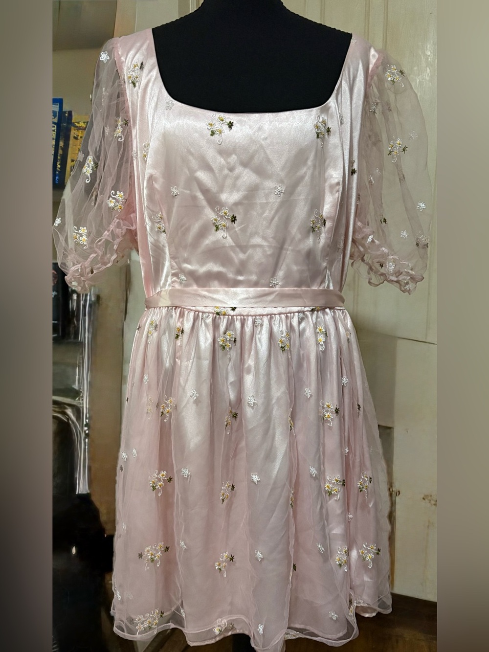 Dolls Kill Sugar Thrillz Pink Dress NWT 2X